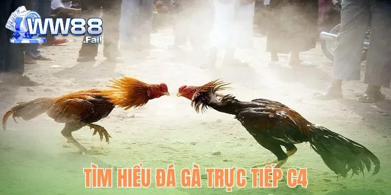 Tìm hiểu loại hình đá gà trực tiếp C4
