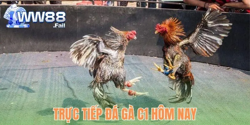 truc tiep da ga c1 hom nay