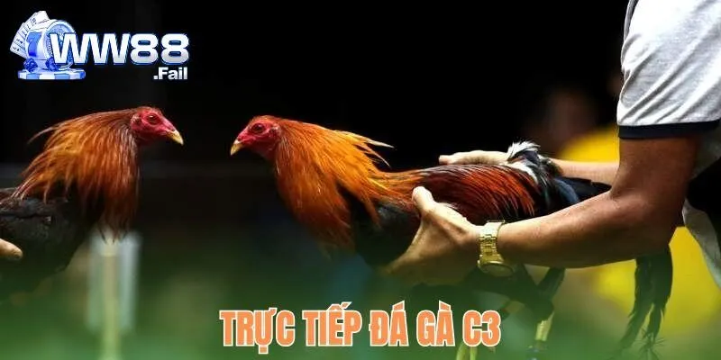 truc tiep da ga c3