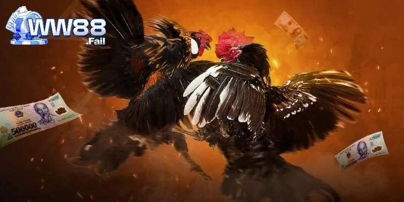 Ưu điểm khi trải nghiệm đặt cược đá gà C3 trực tiếp